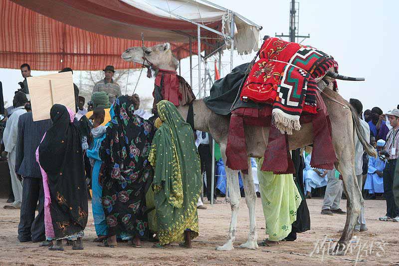 Mud Maps Africa Gaddafi camel party 3481